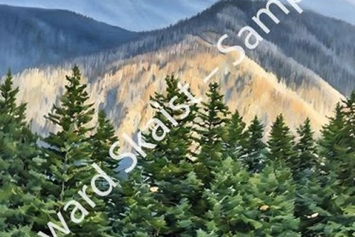 Ridge and Canopy