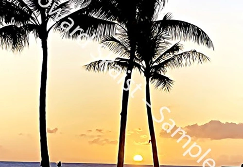 Palm Horizon